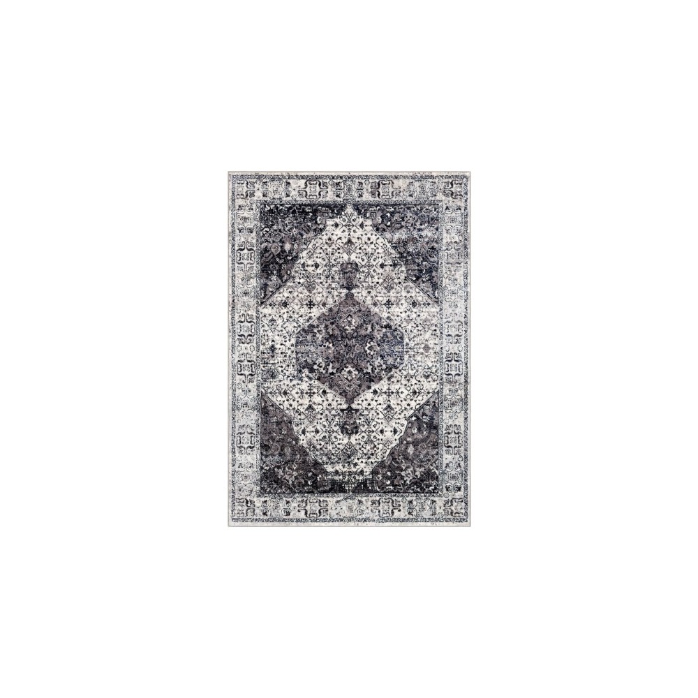 Surya Wanderlust WNL-2306 5'3" x 7'3" Rug Surya Wanderlust WNL-2306 5'3" x 7'3" Rug