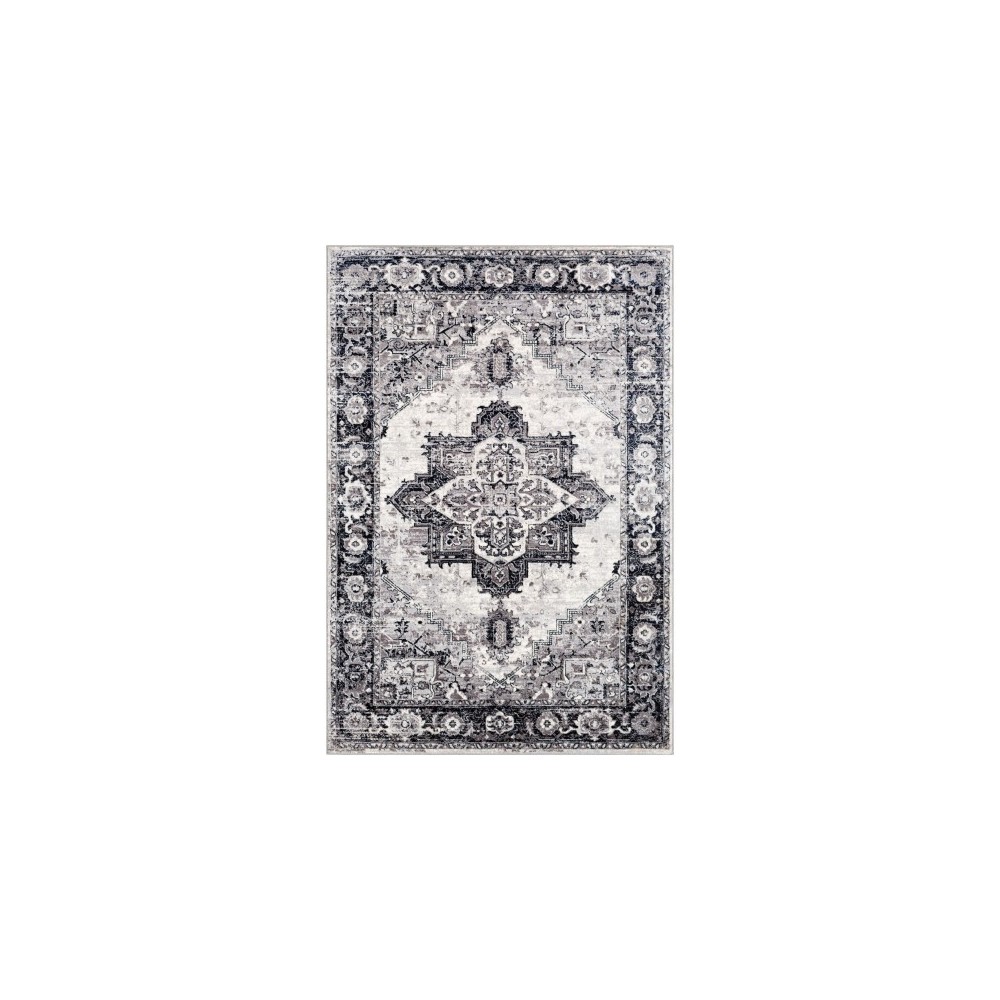 Surya Wanderlust WNL-2312 2' x 3' Rug