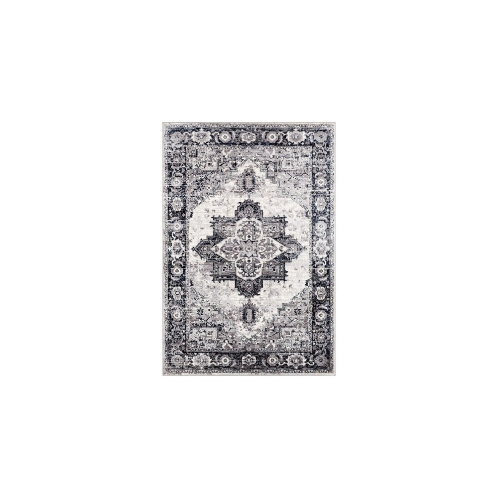 Surya Wanderlust WNL-2312 8'10" x 12'4" Rug Surya Wanderlust WNL-2312 8'10" x 12'4" Rug