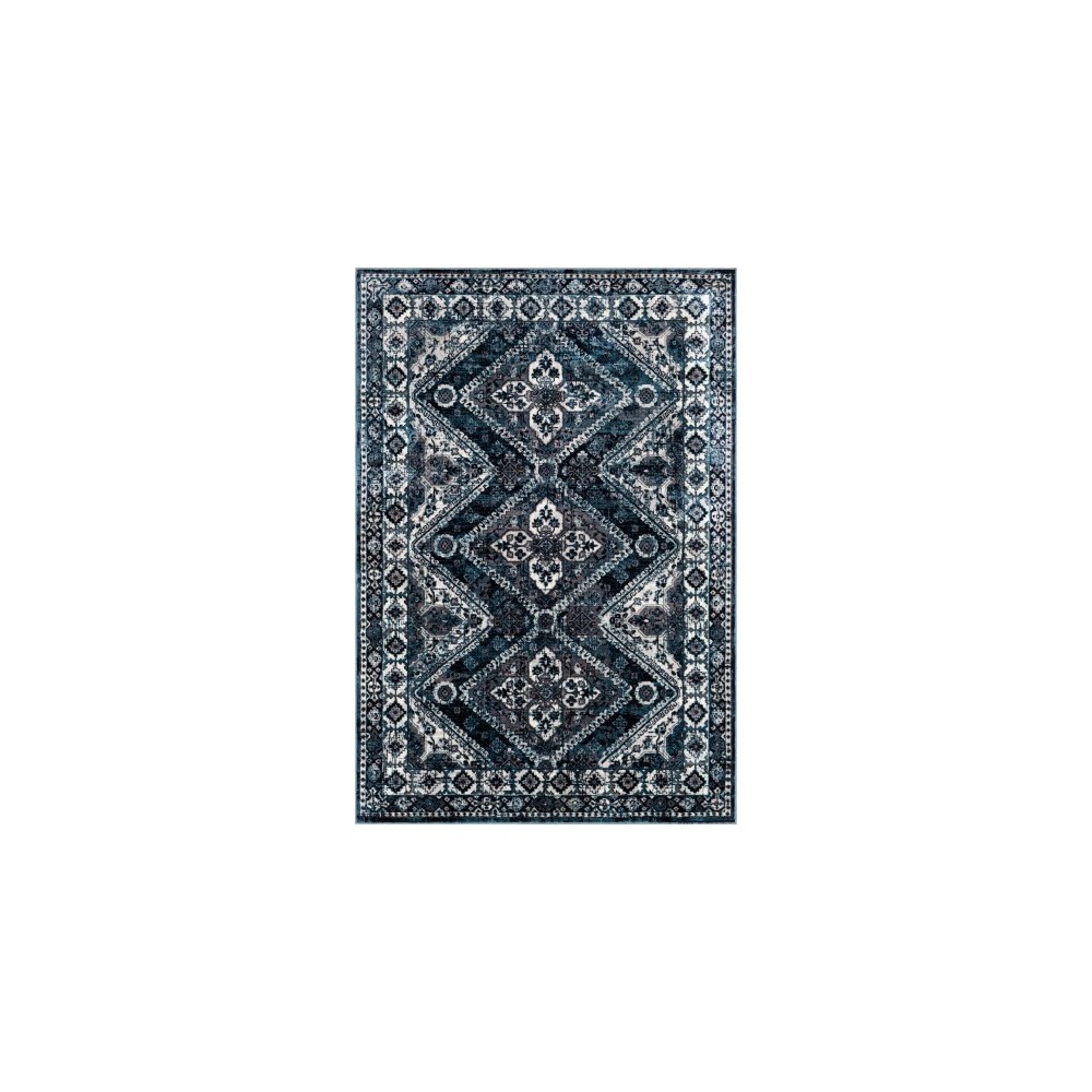 Surya Wanderlust WNL-2313 2' x 3' Rug