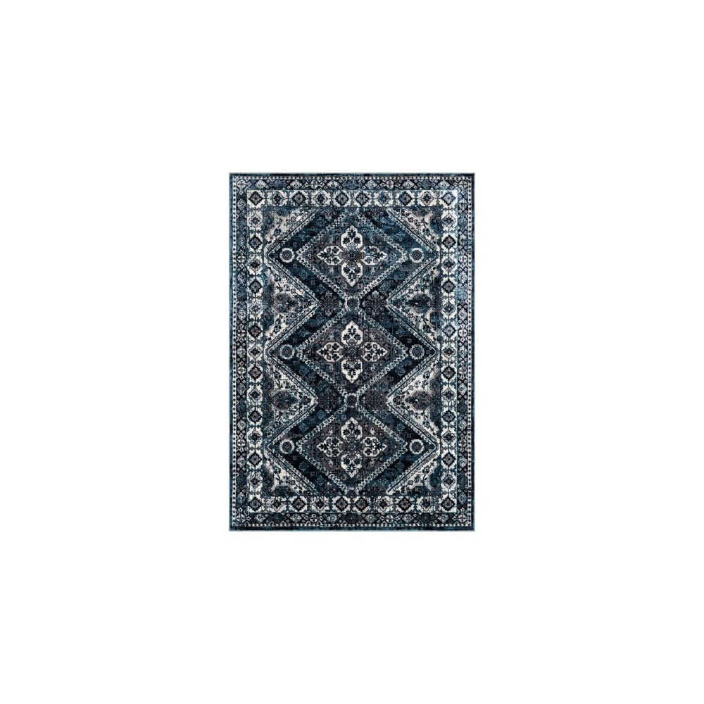 Surya Wanderlust WNL-2313 8'10" x 12'4" Rug