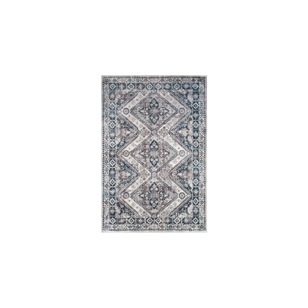 Surya Wanderlust WNL-2314 2' x 3' Rug