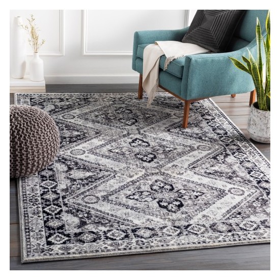 Surya Wanderlust WNL-2315 2' x 3' Rug