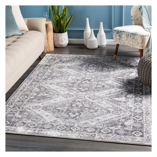 Surya Wanderlust WNL-2316 2' x 3' Rug