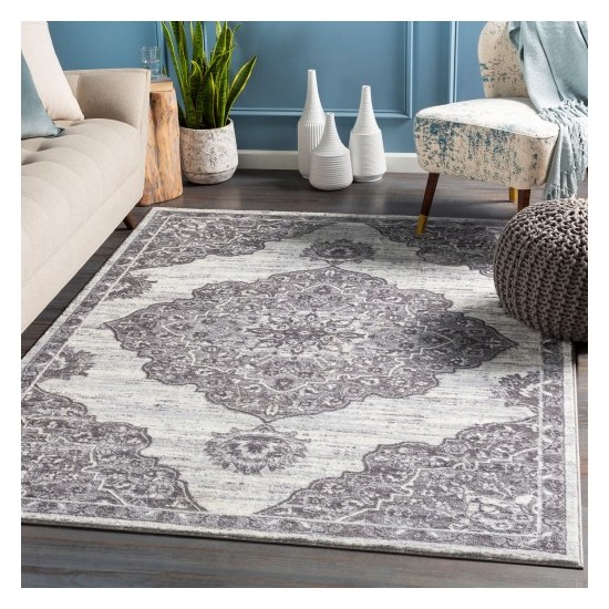 Surya Wanderlust WNL-2319 2' x 3' Rug