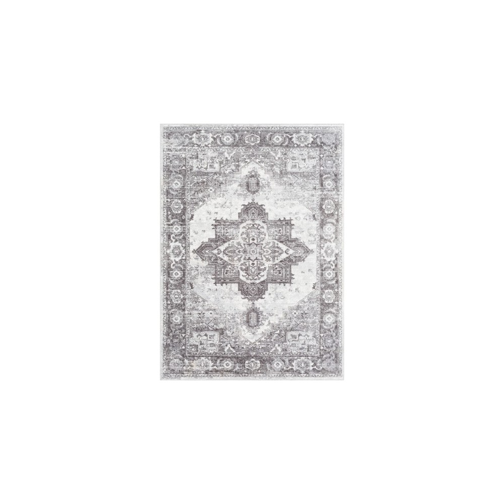 Surya Wanderlust WNL-2321 2' x 3' Rug