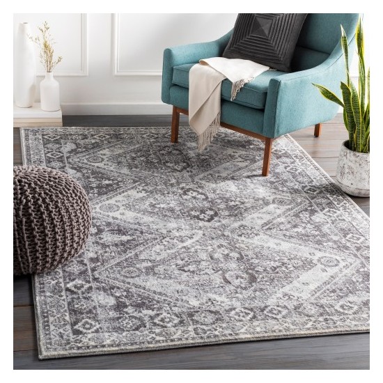 Surya Wanderlust WNL-2321 2' x 3' Rug