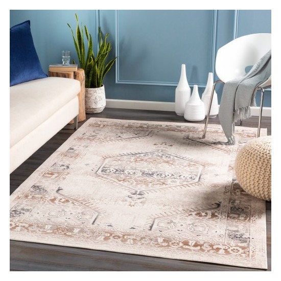 Surya Dublin DUB-2301 2' x 3'2" Rug