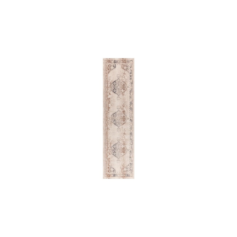 Surya Dublin DUB-2301 2'9" x 10'3" Rug