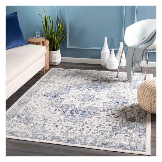 Surya Dublin DUB-2302 2' x 3'2" Rug