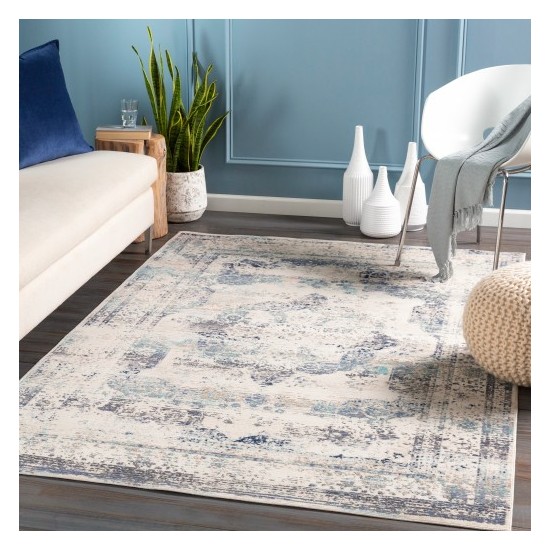 Surya Dublin DUB-2304 2' x 3'2" Rug