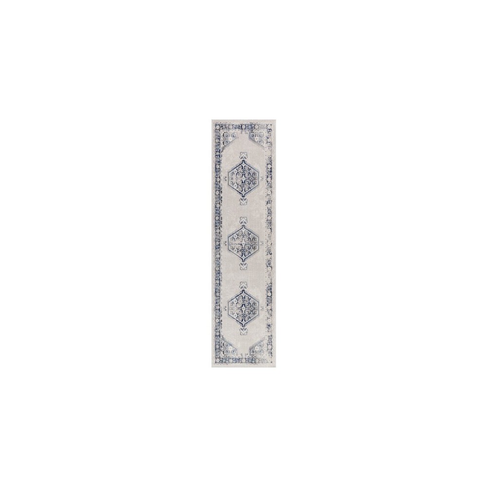 Surya Dublin DUB-2306 2' x 3'2" Rug