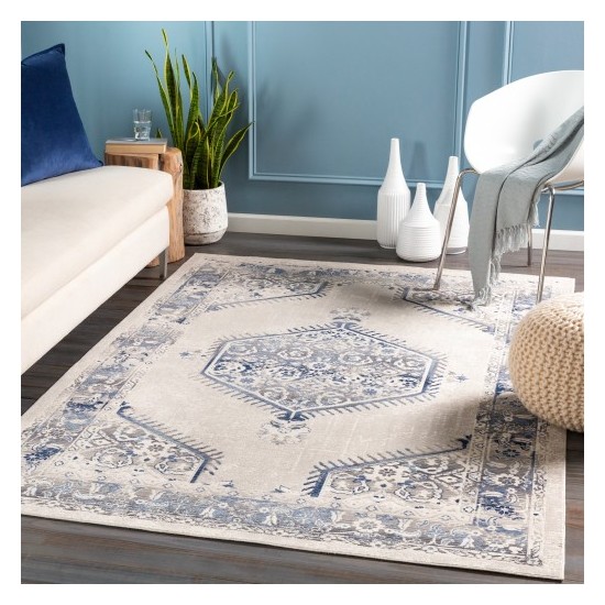 Surya Dublin DUB-2306 2' x 3'2" Rug