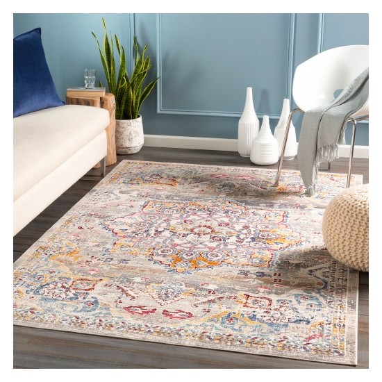 Surya Dublin DUB-2308 2' x 3'2" Rug