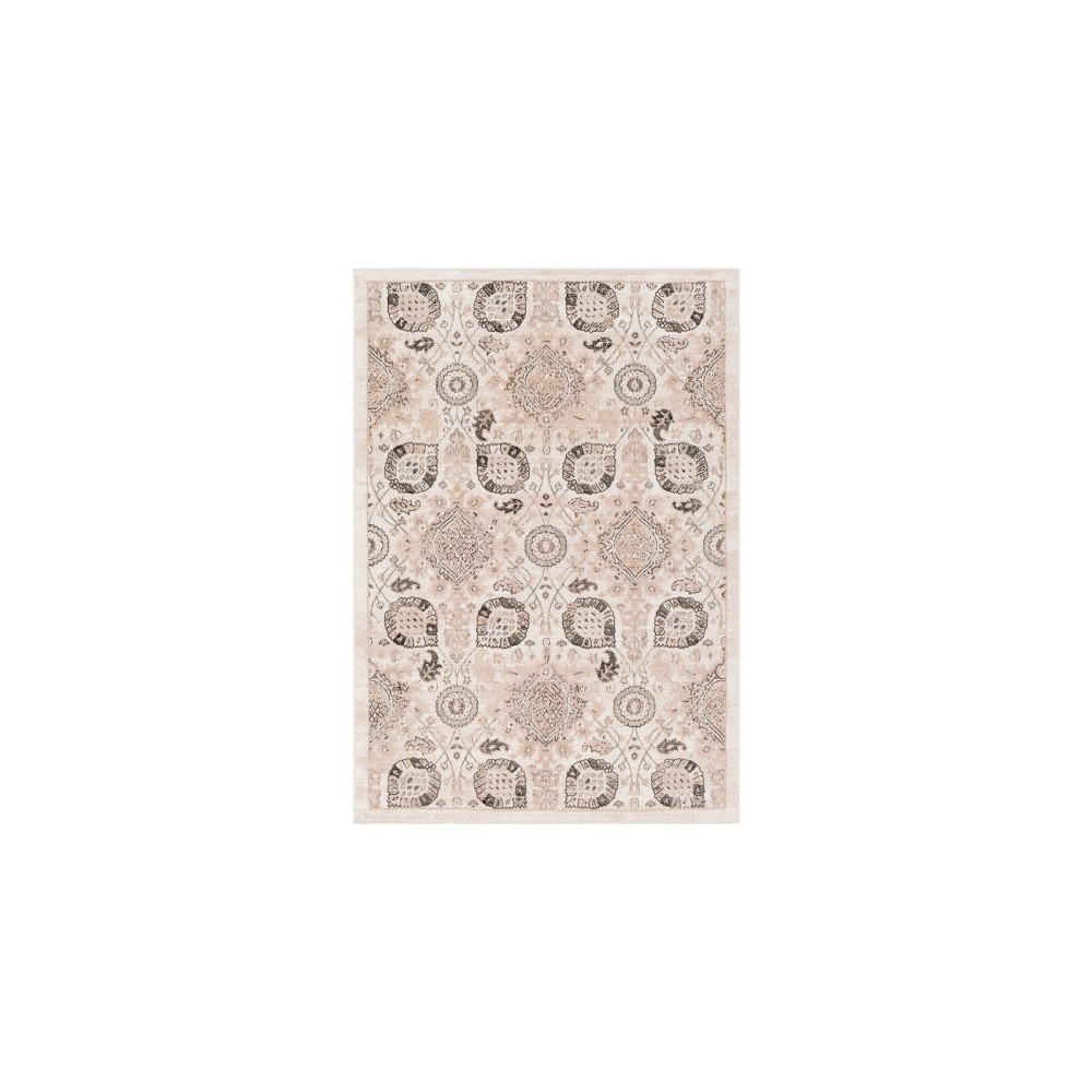 Surya Rafetus ETS-2334 2' x 2'11" Rug