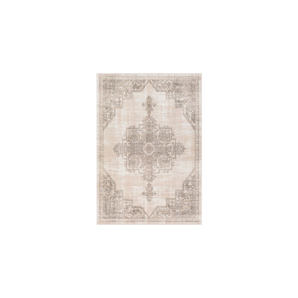Surya Rafetus ETS-2336 5'3" x 7'7" Rug Surya Rafetus ETS-2336 5'3" x 7'7" Rug