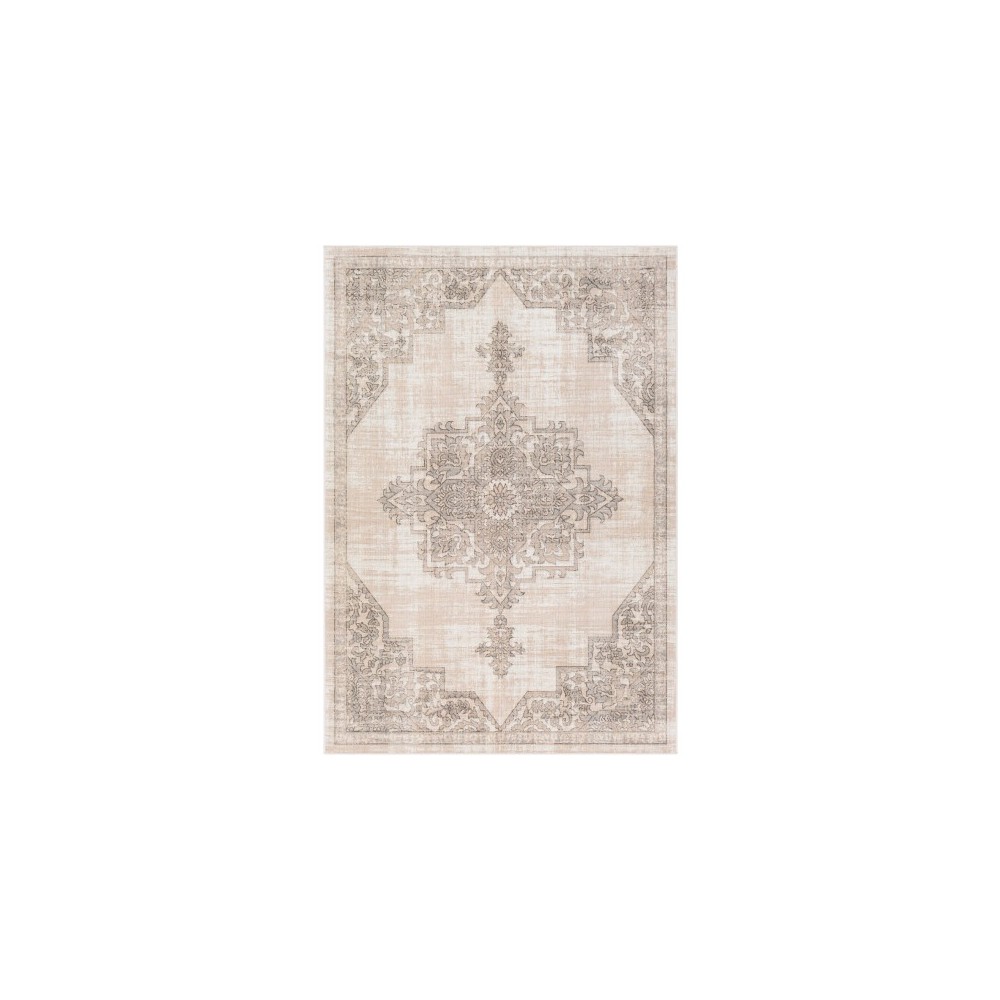 Surya Rafetus ETS-2336 7'10" x 10'2" Rug