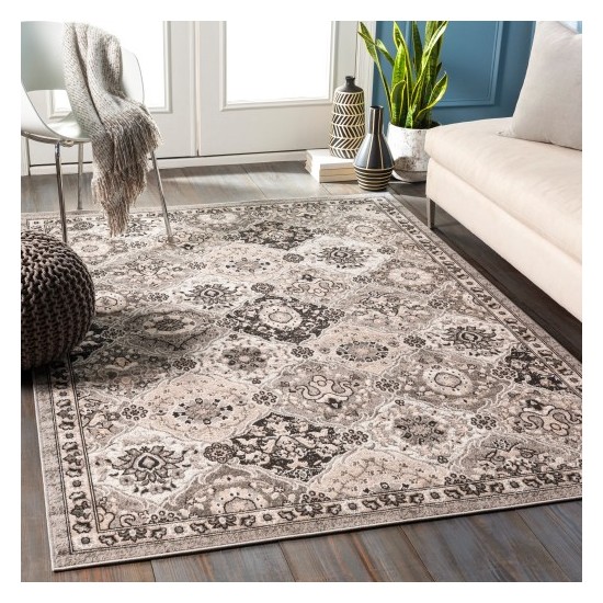 Surya Rafetus ETS-2339 2' x 2'11" Rug