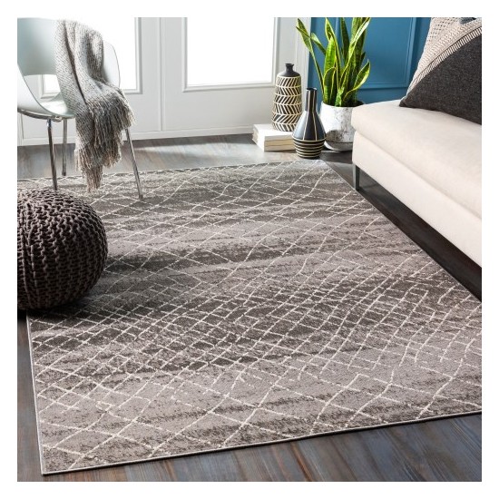 Surya Rafetus ETS-2346 2' x 2'11" Rug