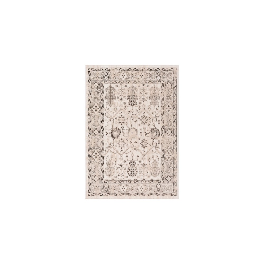 Surya Rafetus ETS-2347 2' x 2'11" Rug