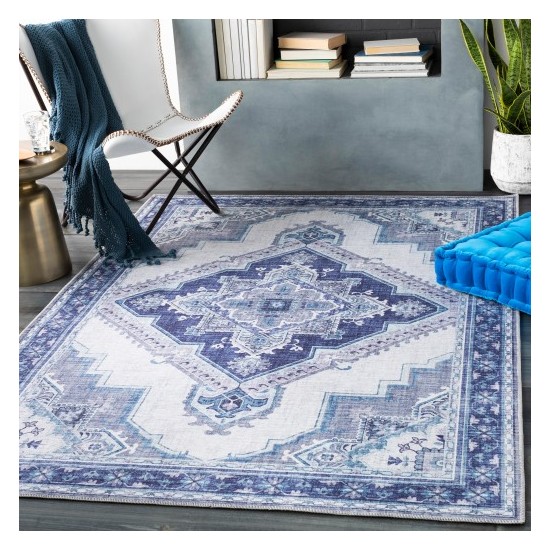 Surya Iris IRS-2303 2'3" x 3'9" Rug