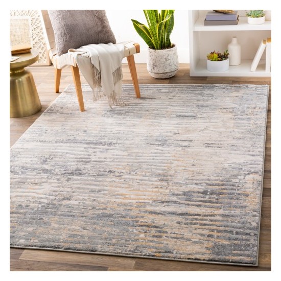 Surya Cash HAC-2310 2' x 2'11" Rug