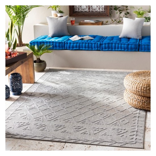 Surya Big Sur BSR-2300 2' x 3' Rug