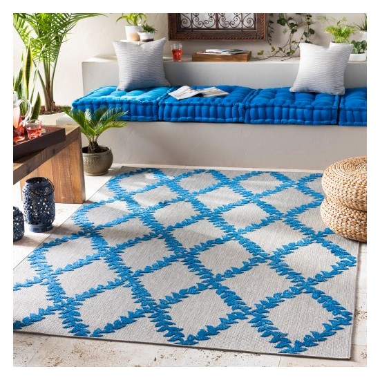 Surya Big Sur BSR-2303 2' x 3' Rug