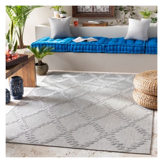 Surya Big Sur BSR-2304 2' x 3' Rug