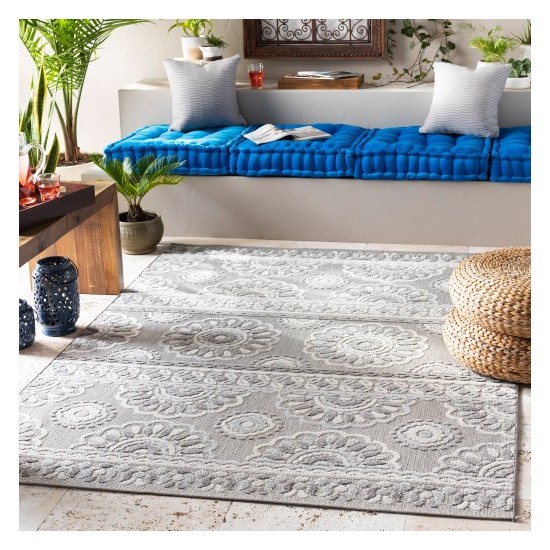 Surya Big Sur BSR-2306 2' x 3' Rug