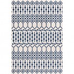 Surya Big Sur BSR-2308 2' x 3' Rug