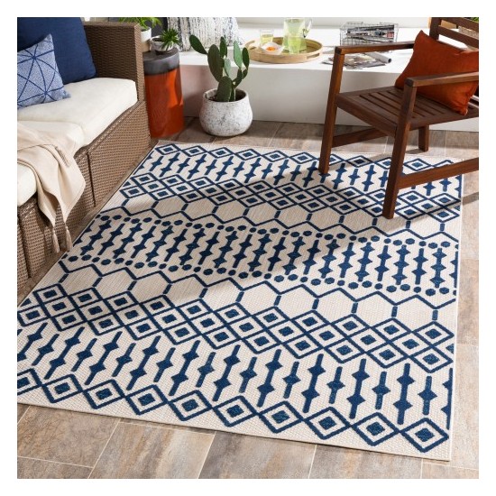 Surya Big Sur BSR-2308 2' x 3' Rug