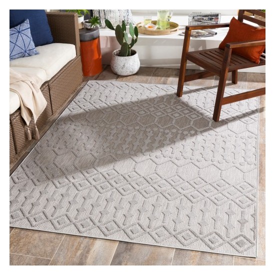 Surya Big Sur BSR-2309 2' x 3' Rug