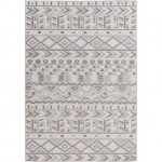 Surya Big Sur BSR-2311 2' x 3' Rug