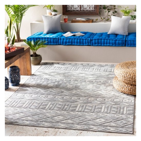 Surya Big Sur BSR-2311 2' x 3' Rug