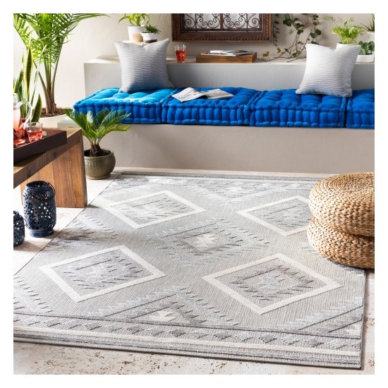 Surya Big Sur BSR-2313 2' x 3' Rug