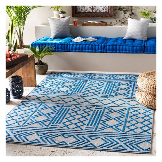 Surya Big Sur BSR-2315 2' x 3' Rug