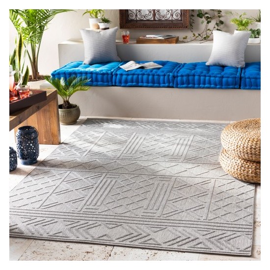 Surya Big Sur BSR-2316 2' x 3' Rug