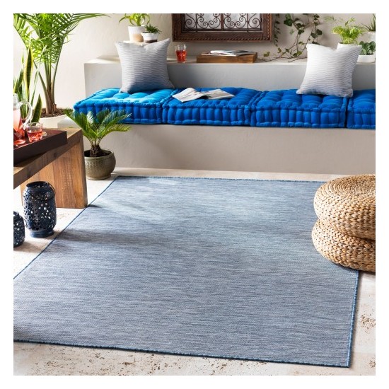 Surya Pasadena PSA-2302 2'7" x 4'11" Rug