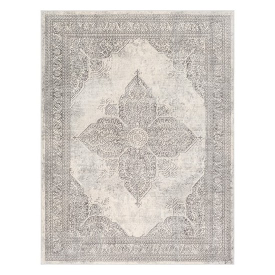 Surya Roma ROM-2304 5'3" x 7'1" Rug