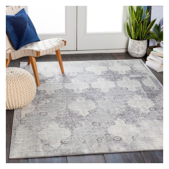 Surya Roma ROM-2316 5'3" x 7'1" Rug