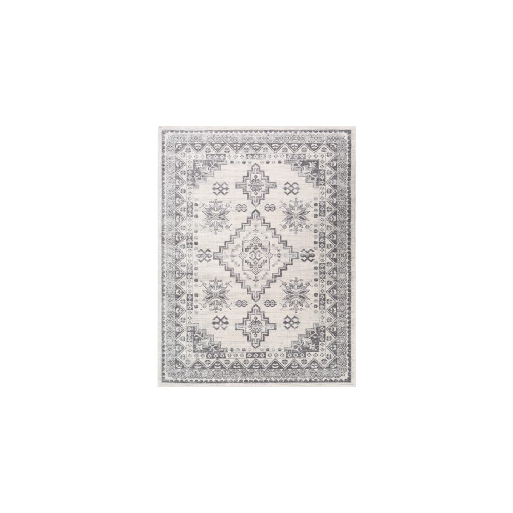 Surya Roma ROM-2319 5'3" x 7'1" Rug Surya Roma ROM-2319 5'3" x 7'1" Rug