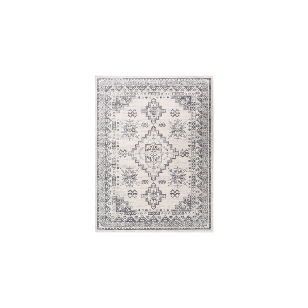 Surya Roma ROM-2319 6'7" x 9' Rug