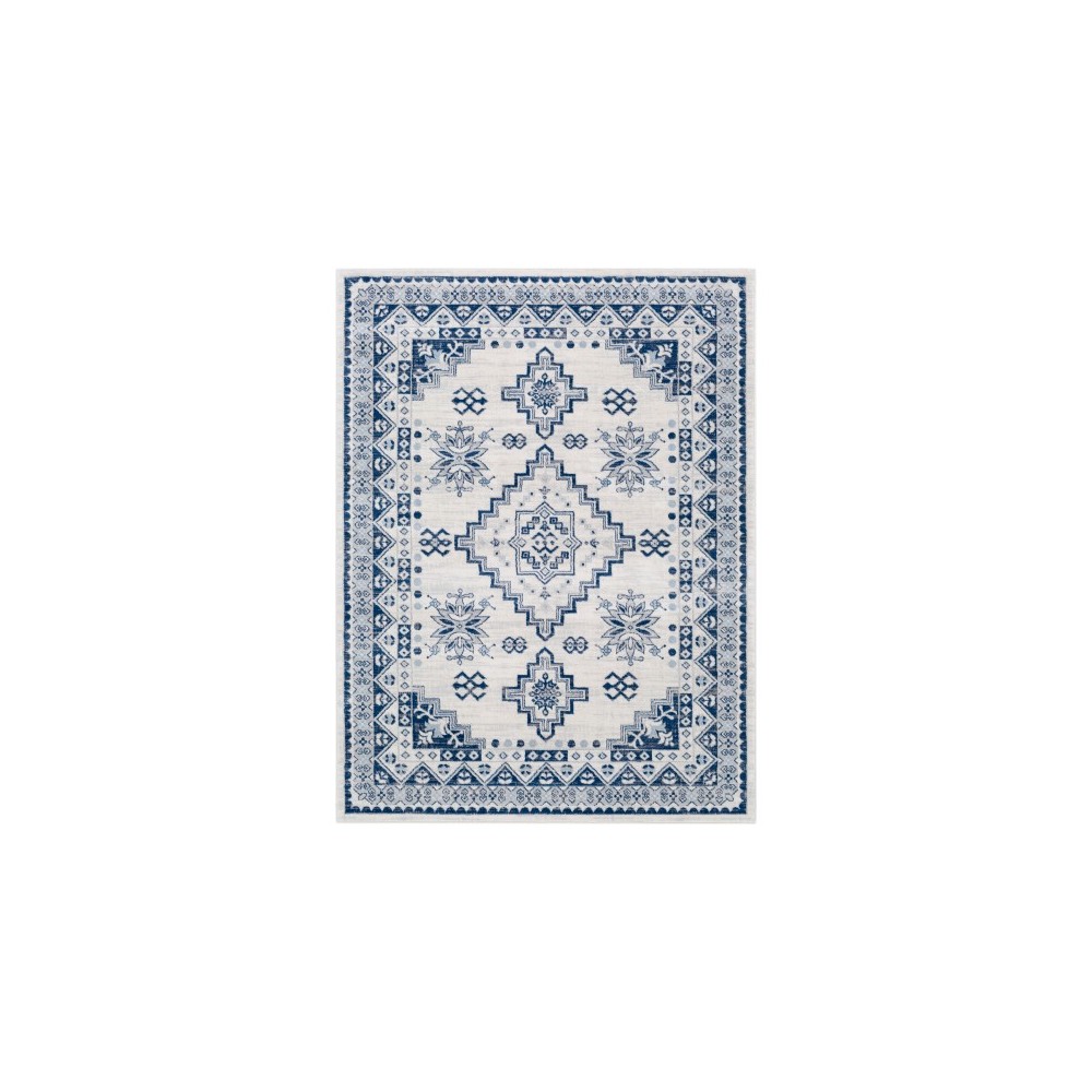 Surya Roma ROM-2320 7'10" x 10' Rug Surya Roma ROM-2320 7'10" x 10' Rug