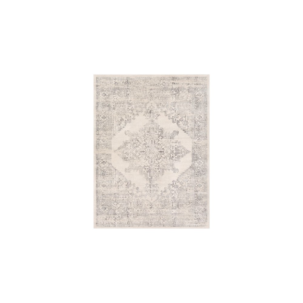 Surya Roma ROM-2322 9' x 12'3" Rug Surya Roma ROM-2322 9' x 12'3" Rug