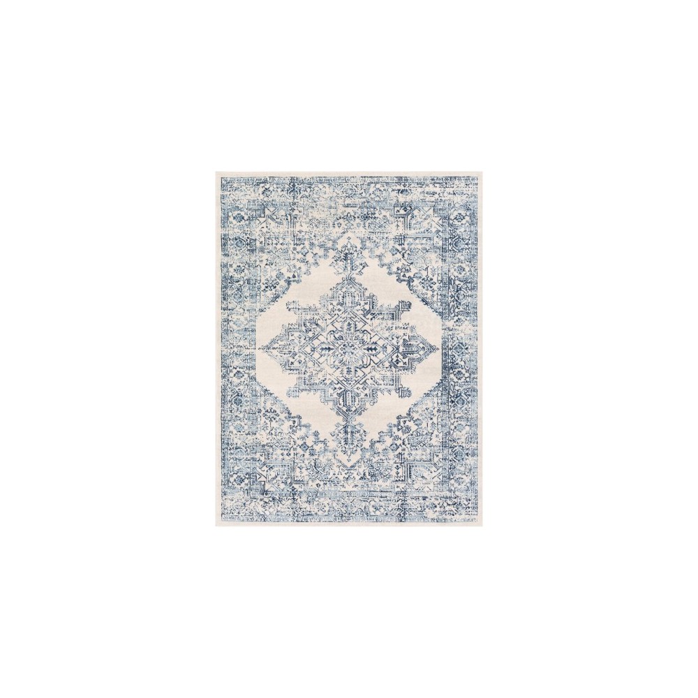 Surya Roma ROM-2323 7'10" x 10' Rug