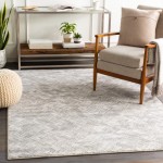 Surya Contempo CPO-3848 2' x 2'11" Rug