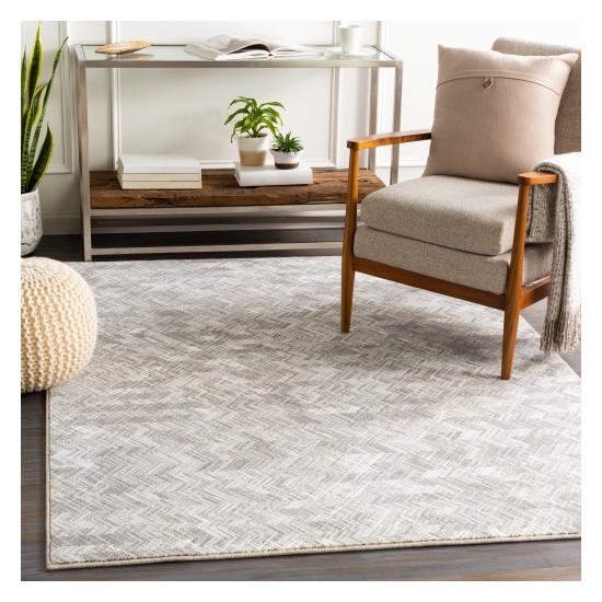 Surya Contempo CPO-3848 2' x 2'11" Rug