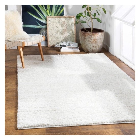 Surya Deluxe Shag DXS-2300 2' x 3' Rug