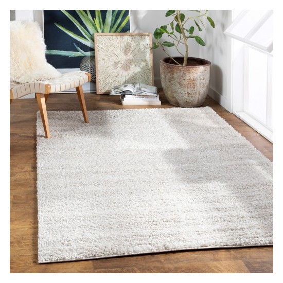 Surya Deluxe Shag DXS-2301 2' x 3' Rug